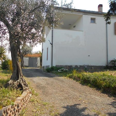 Casa Lolu Villa Ortona Bagian luar foto